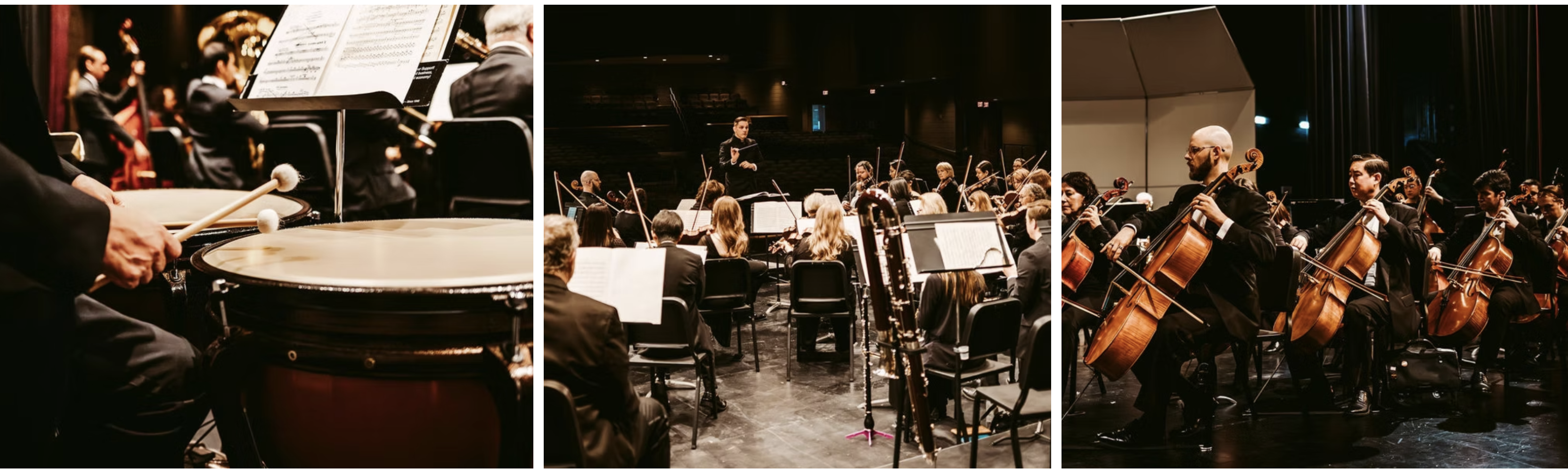 West Valley Symphony Association footer