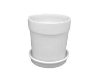 Flower Pot with Tray