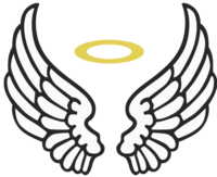 ANGEL PACKAGE
