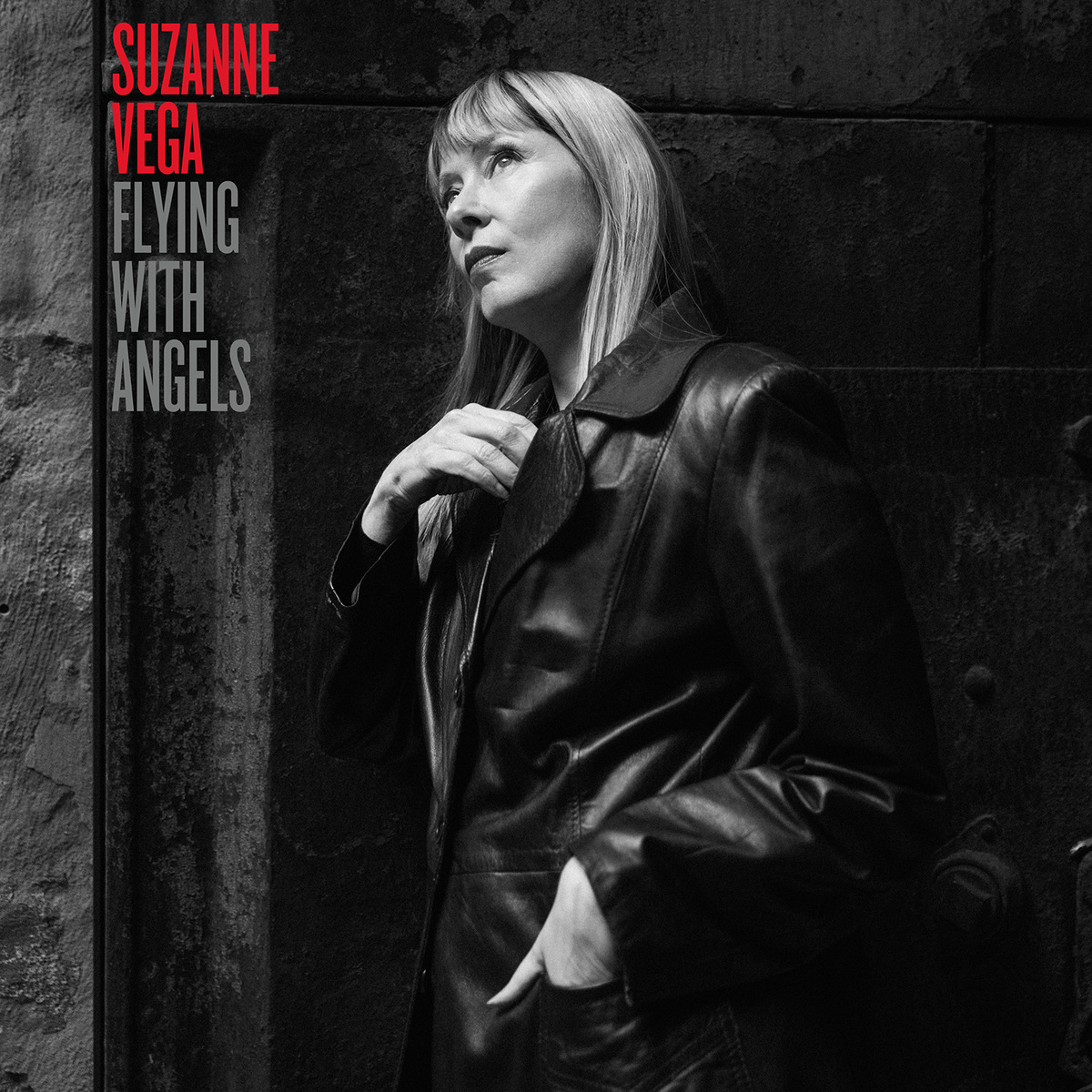 Suzanne Vega VIP Upgrade